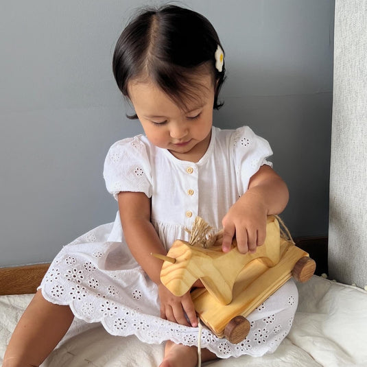 Unicornio de Arrastre